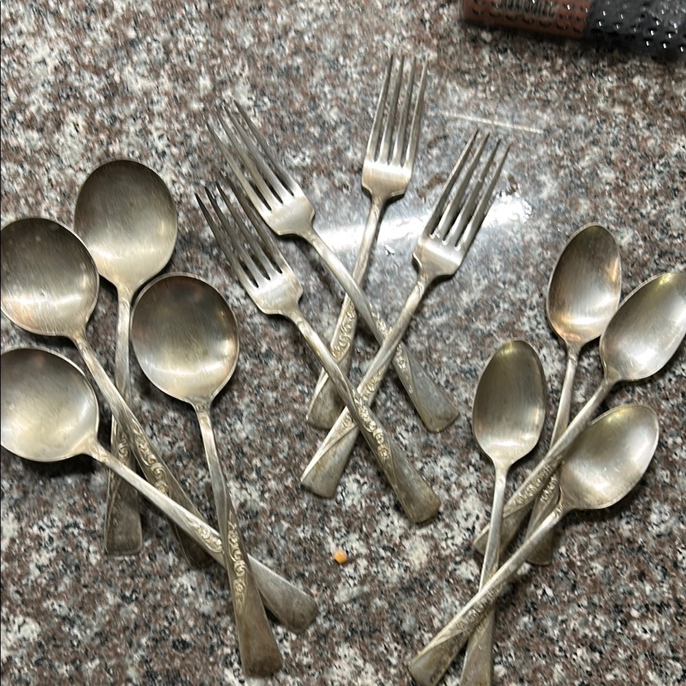 Elegant Silver Utensils set